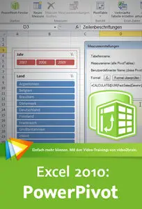 Excel 2010: Power Pivot