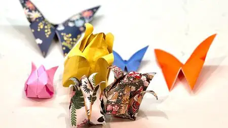 Origami For Beginners