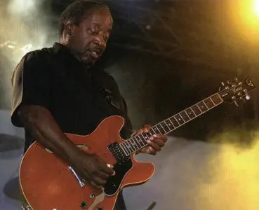 Albert White - Soul Of The Blues (2007)
