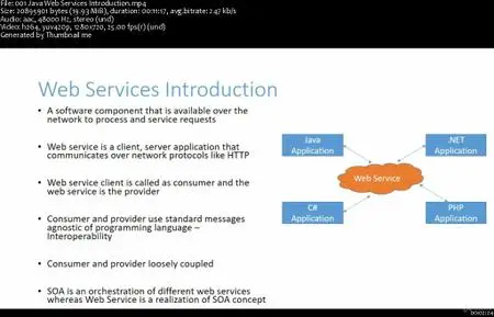 Java Web Services Masterclass with SOAP, REST, Spring & XML