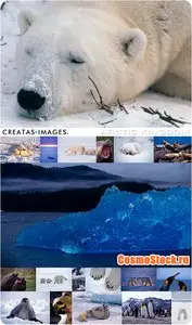 Creatas - CRE-166 - Arctic Kingdom