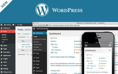 Building Your First Wordpress Website Part 1