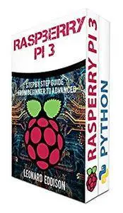 Coding: Raspberry Pi & Python: Step By Step Guide From Beginner To Advanced: Two Manuscripts In One