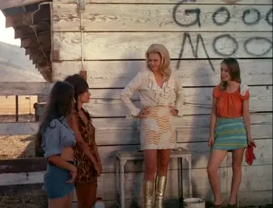 Southern Comforts (1971)