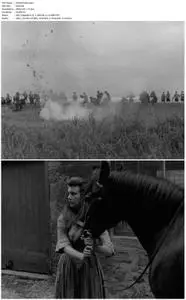 Culloden (1964)