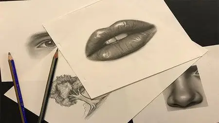 Ultimate Drawing Course: Master Pencil Drawing & Shading Art