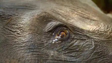 Arte - Asia Secret Lives Hidden Places: Series 1 (2015)
