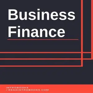 «Business Finance» by Introbooks Team