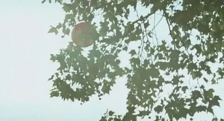 Le Voyage du ballon rouge (Hsiao-hsien Hou, 2007)