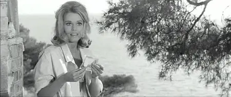 Joy House / Les félins (1964)