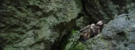 The Place of No Words (2019)