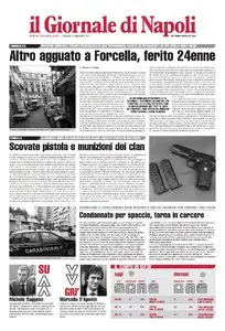 IL GIORNALE DI NAPOLI DEL 14 15 16 17 GENNAIO 2011