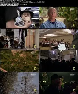 National Geographic Marijuana Gold Rush (2012)