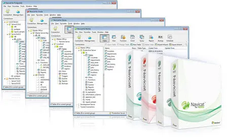 Navicat for Oracle Enterprise 10.0.3