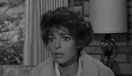 The Slender Thread (1965) 