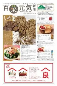 百菜元気新聞 – 12月 2020