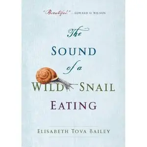 The Sound of a Wild Snail Eating (Repost)