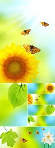 Stock Photo - Natural Backgrounds
