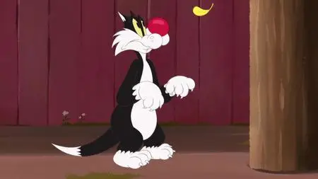 Looney Tunes Cartoons S01E90