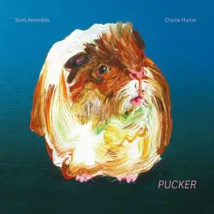 Charlie Hunter & Scott Amendola - Pucker (2013) {Sazi Records, Digital Bonus Version}