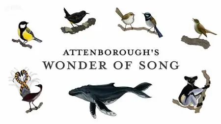 BBC - Attenborough's Wonder of Song (2022)