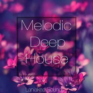Laniakea Sounds Melodic Deep House ACiD WAV MiDi MASSiVE