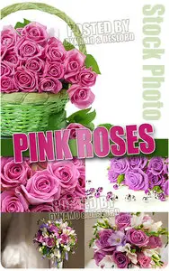 Pink Roses - UHQ Stock Photo