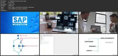 The Complete Sap Workflow Training (2021)