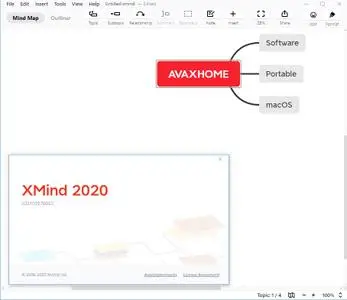XMind 2020 v10.3.1 Build 202101070032 Multilingual Portable