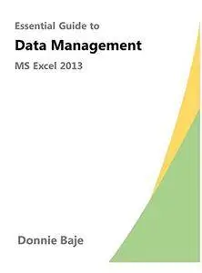 Essential Guide to MS Excel 2013 Data Management
