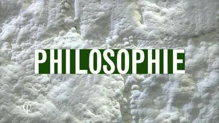 (Arte) Philosophie : Qu’est ce qui peut nous rendre heureux ? (2016)