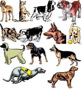 100 Drawings - Dogs