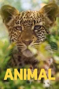 Animal S01E03