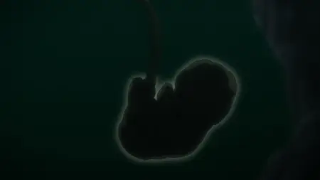 In Spectre S01E03