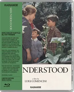 Incompreso (Vita col figlio) / Misunderstood (1966)