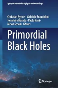 Primordial Black Holes