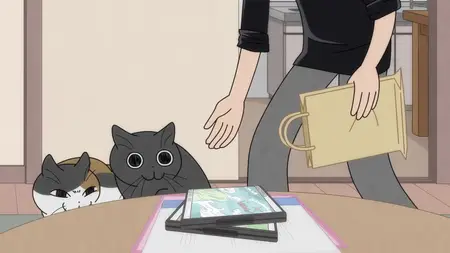 Nights with a Cat - 71