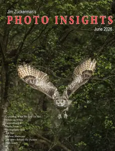Photo Insights - June 2026