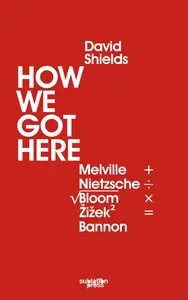 How We Got Here: Melville Plus Nietzsche Divided by the Square Root of (Allan) Bloom Times Žižek (Squared) Equals Bannon