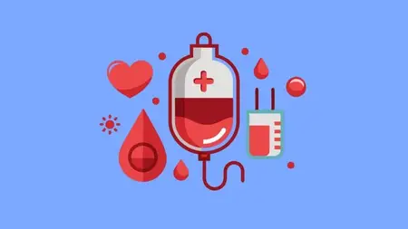 Laravel 12: Blood Bank Management Website (2025)
