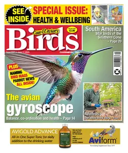Cage & Aviary Birds - 11 June 2025