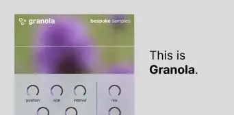 Bespoke Samples Granola WiN macOS
