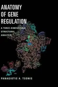 Anatomy of gene regulation: A three-dimensional structural analysis