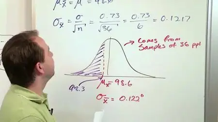 Math Tutor DVD - Mastering Statistics: Volume 3 - Confidence Intervals, 2 DVD-set