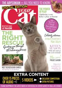 Your Cat - March 2019