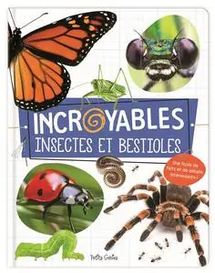 Claire Chabot, Danielle Robichaud, "Incroyables insectes et bestioles"