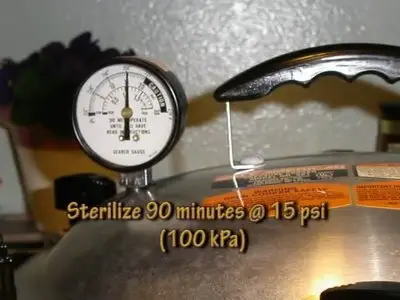 Let's Grow Mushrooms! (Instructional Video in 2DVD's)
