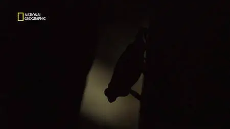 One Strange Rock S01E10
