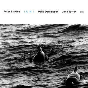 Peter Erskine Trio - Juni (1999) {ECM 1657}