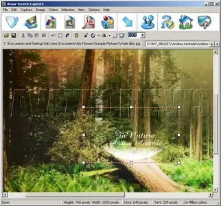 Amor Screen Capture 2.4.8.1